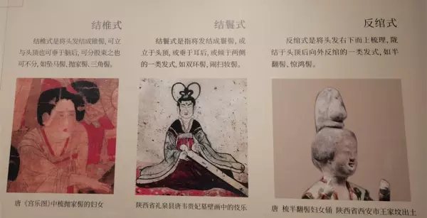 盘桓髻是哪个朝代(3)
