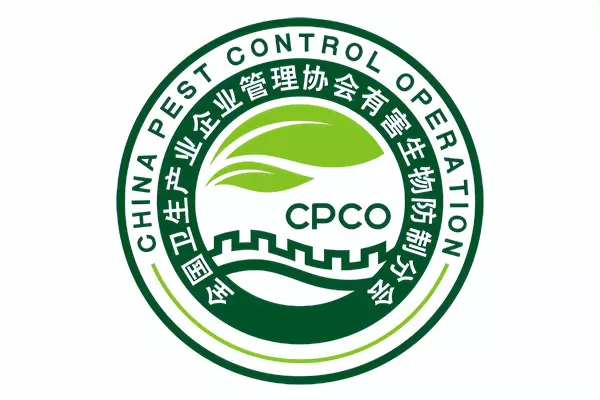 家里有老鼠怎么办如何赶走或消灭它(4)