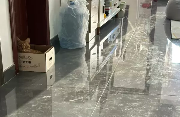 瓷砖颜色怎么挑选?哪种比较好(6)