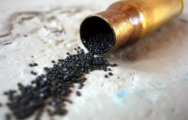 一颗小小的撞针可以激发子弹和炮弹而一发雷管却不能引爆成吨的铵油炸药可能的原因是什么(10)