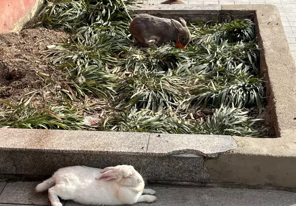 附近做窗帘的店铺地址在哪里高邮(5)