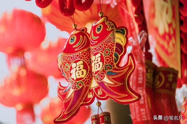 八条鱼代表什么寓意和象征.