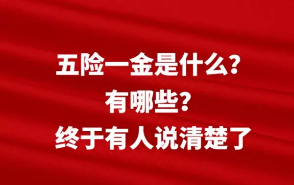 五金一险都包括什么内容(1)