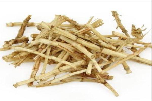 白草根药膏的功能主治是什么.
