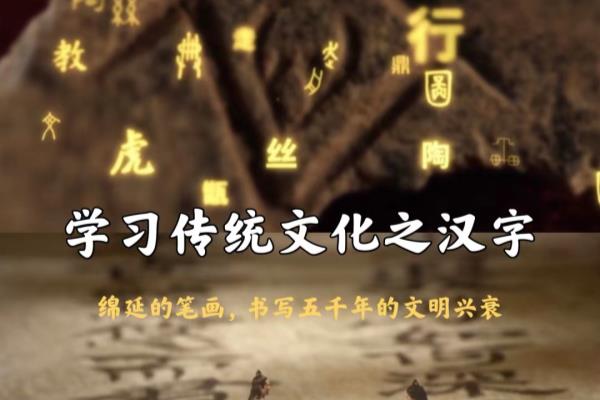 吮吸近义词是什么标准答案.