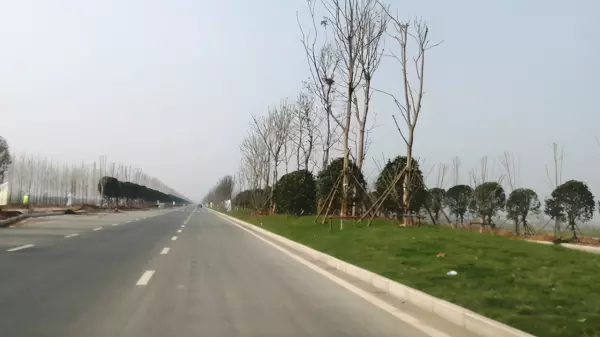 道路红线宽度限制因素主要包括哪些(4)