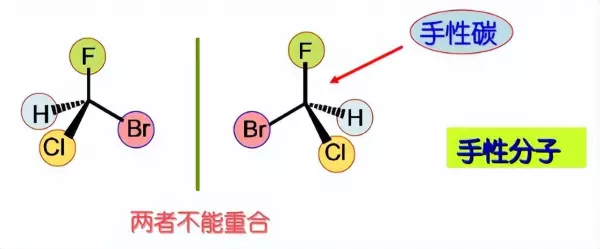 l型和d型氨基酸的区别(1)