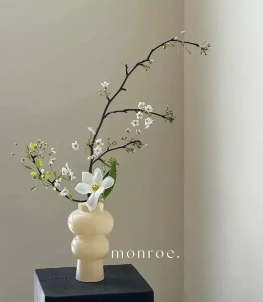 暖居带什么礼物蛋糕好看(14)