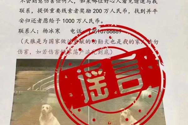 悬赏兔是不是假的.