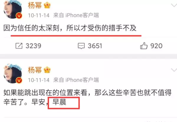 胡歌最后给杨幂的博客备注是什么(104)
