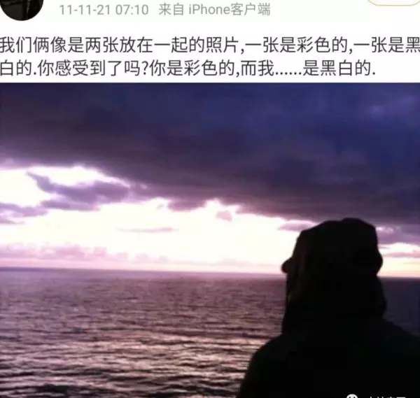 胡歌最后给杨幂的博客备注是什么(117)