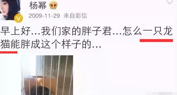 胡歌最后给杨幂的博客备注是什么(51)