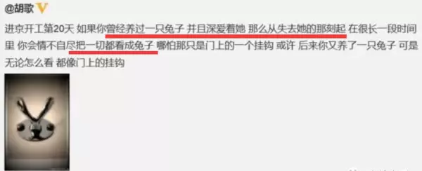 胡歌最后给杨幂的博客备注是什么(63)