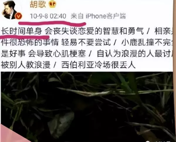 胡歌最后给杨幂的博客备注是什么(66)