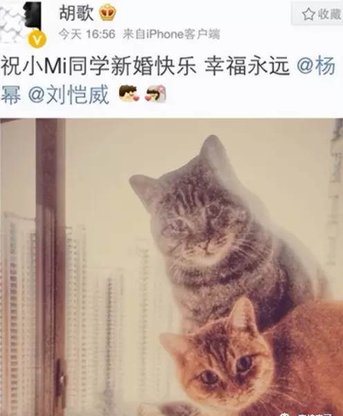 胡歌最后给杨幂的博客备注是什么(74)