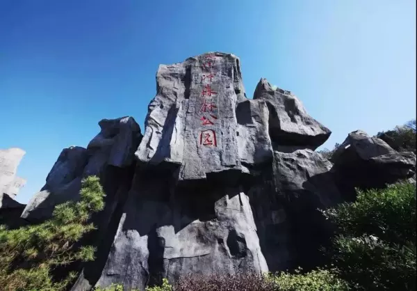 长沙桑拿洗浴哪里最好(12)
