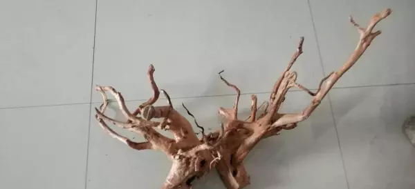水沉木怎么处理不浑水(3)