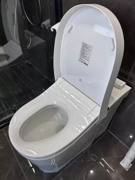 智能马桶排名前十的品牌有哪些(12)