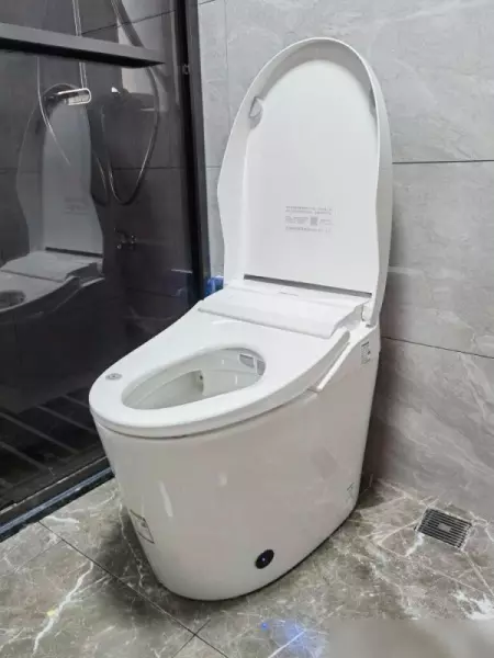 智能马桶排名前十的品牌有哪些(14)