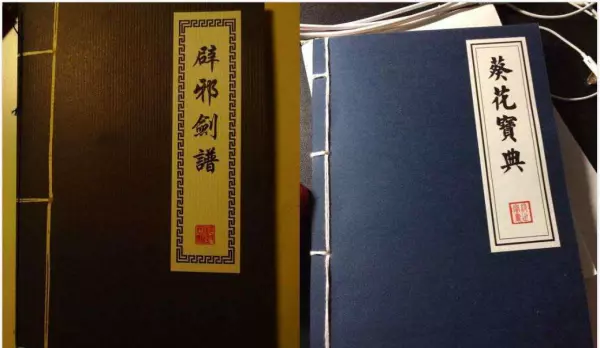 辟邪剑谱和葵花宝典有什么关系(9)