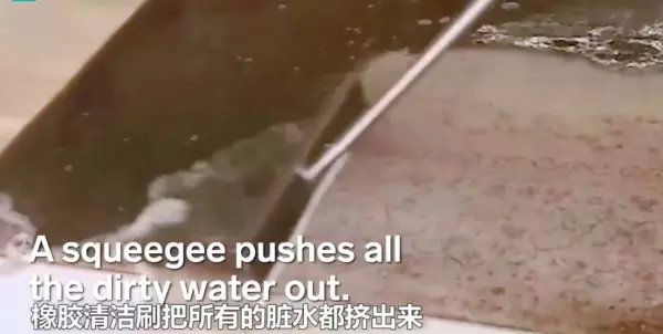 专业地毯清洗费用(14)