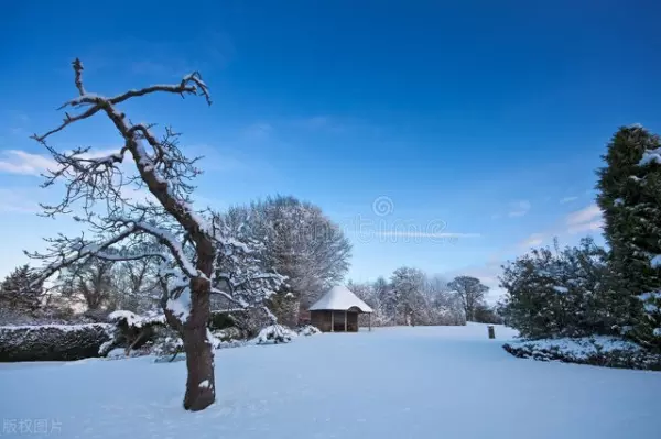 雪浸染万千华光钟声塑佛龛是什么意思(5)