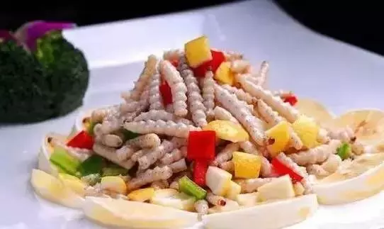 柴虫是什么虫的幼虫(12)