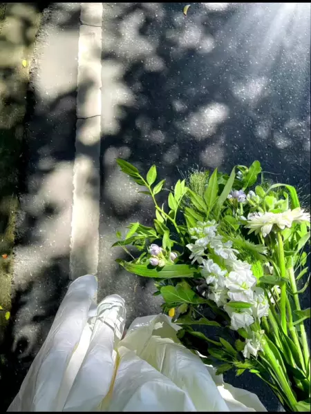 发花花草草的朋友圈文案(10)