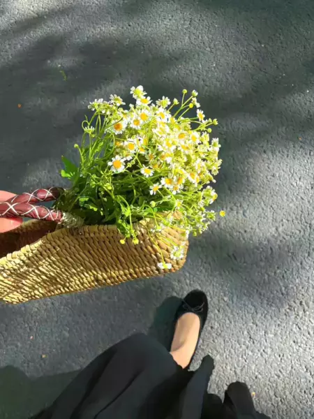 发花花草草的朋友圈文案(11)