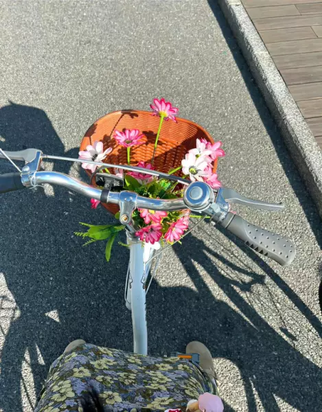 发花花草草的朋友圈文案(14)