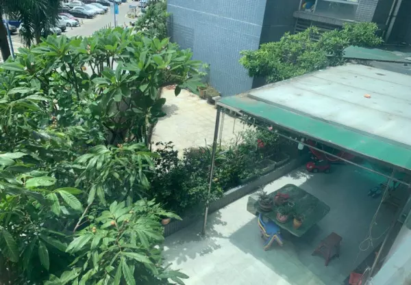 别墅和别野的区别是什么(31)