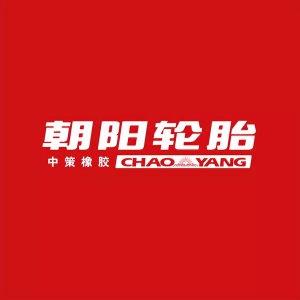 雅途轮胎是哪个厂出的(1)