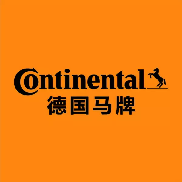 雅途轮胎是哪个厂出的(22)