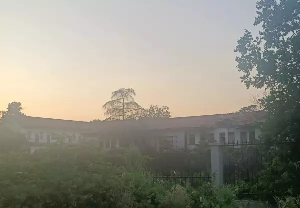 附近的家具厂有哪些(3)