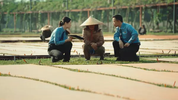 人面子树与麻楝树叶子的区别(20)