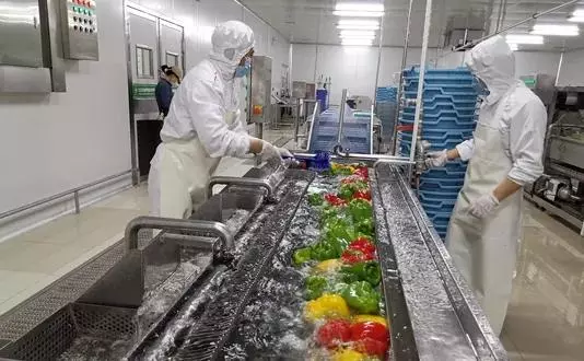 中央厨房设计要求高度多少?(5)