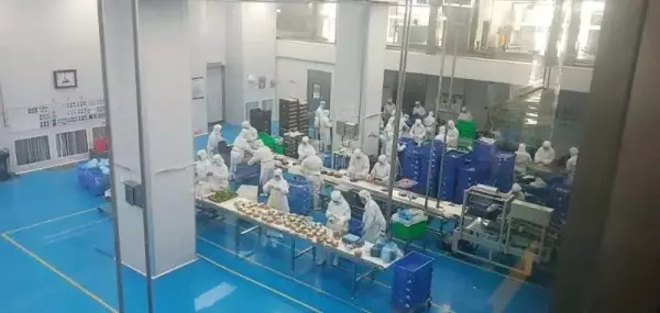 中央厨房设计要求高度多少?(6)