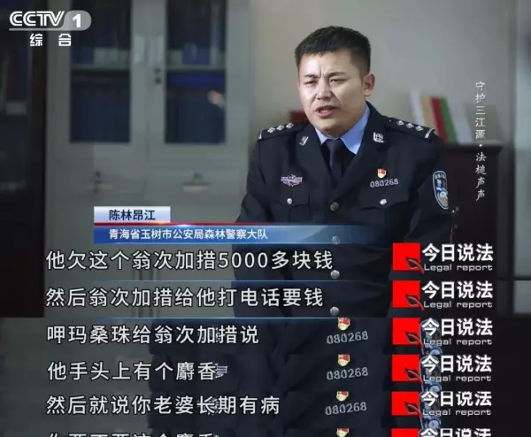 真鹿头标本的制作方法(2)