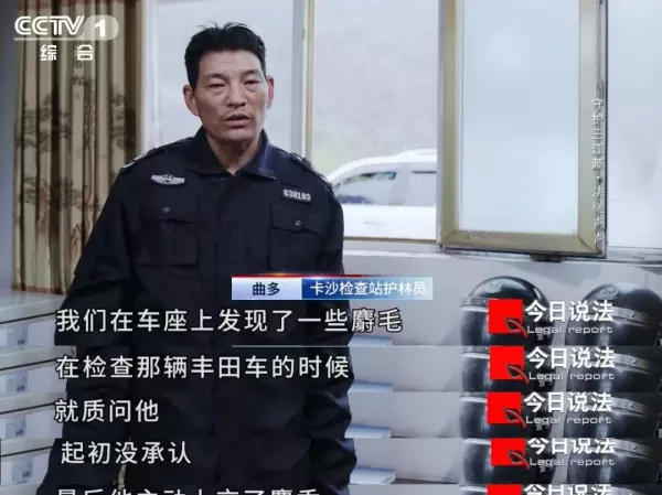 真鹿头标本的制作方法(3)