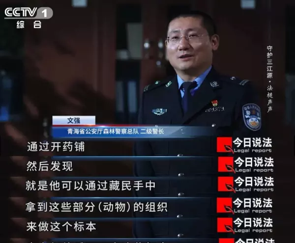 真鹿头标本的制作方法(7)
