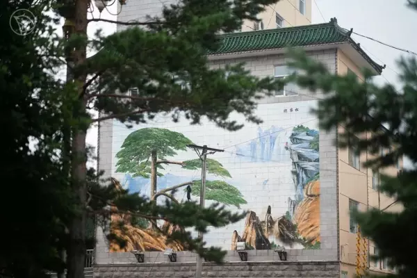 小燕子半自动洗衣机怎么拆开清洗(11)