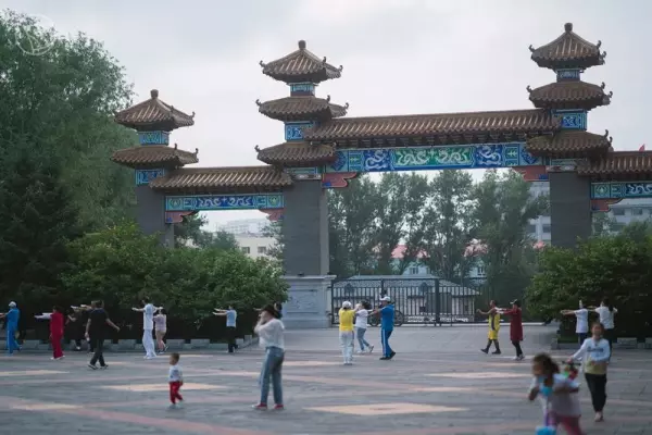 小燕子半自动洗衣机怎么拆开清洗(14)
