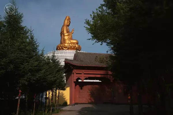 小燕子半自动洗衣机怎么拆开清洗(9)