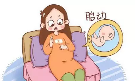 8月5号末次月经预产期是什么时候(4)