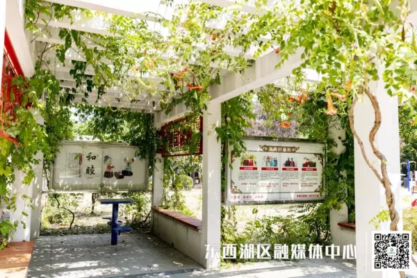 常青花园中心公园是什么景观(4)