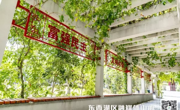 常青花园中心公园是什么景观(6)