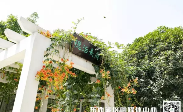 常青花园中心公园是什么景观(7)