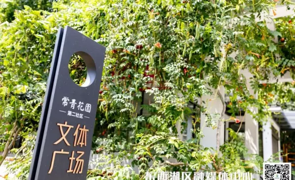 常青花园中心公园是什么景观(8)