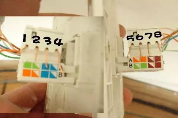 网线插座接法图解法.