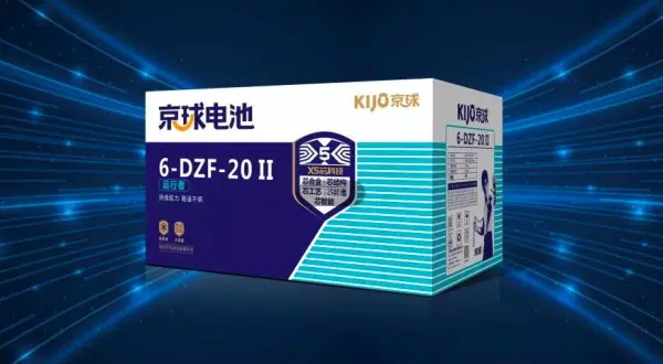 国产电机十大名牌永久电动车配什么电池(5)